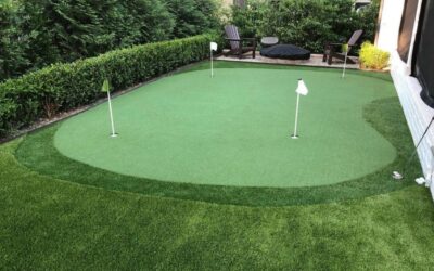 Teeing Off at Home: The Growing Popularity of Backyard Golf Greens